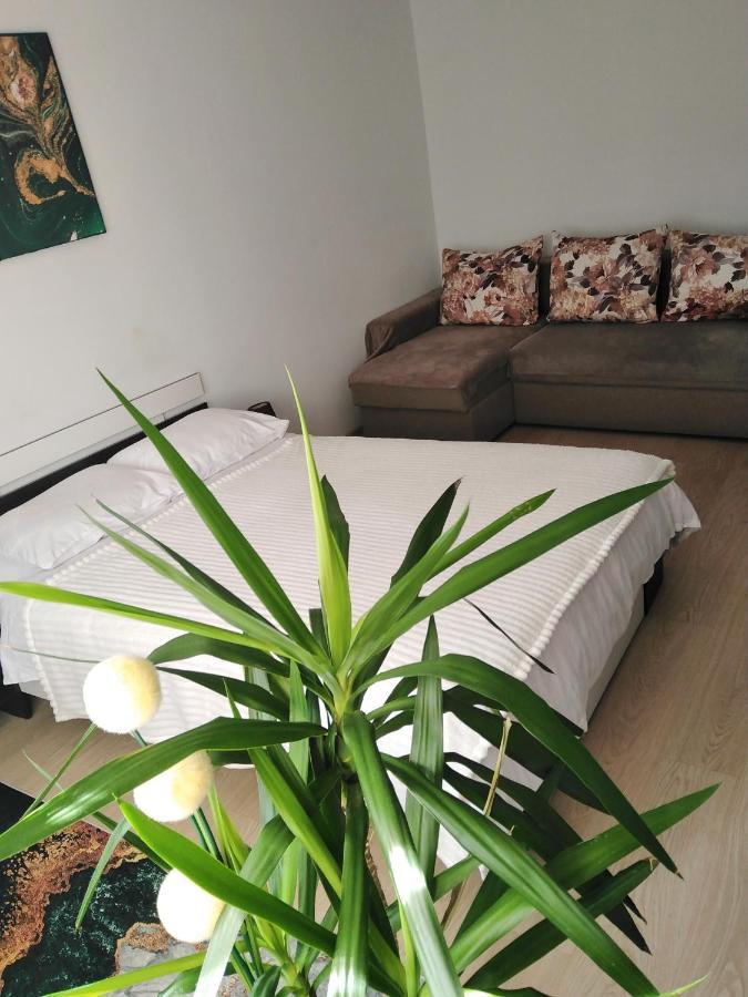 Garsoniera Rebecca Apartment Tirgu Ocna Luaran gambar