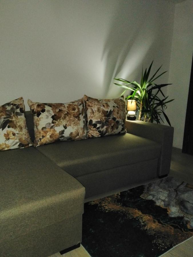 Garsoniera Rebecca Apartment Tirgu Ocna Luaran gambar