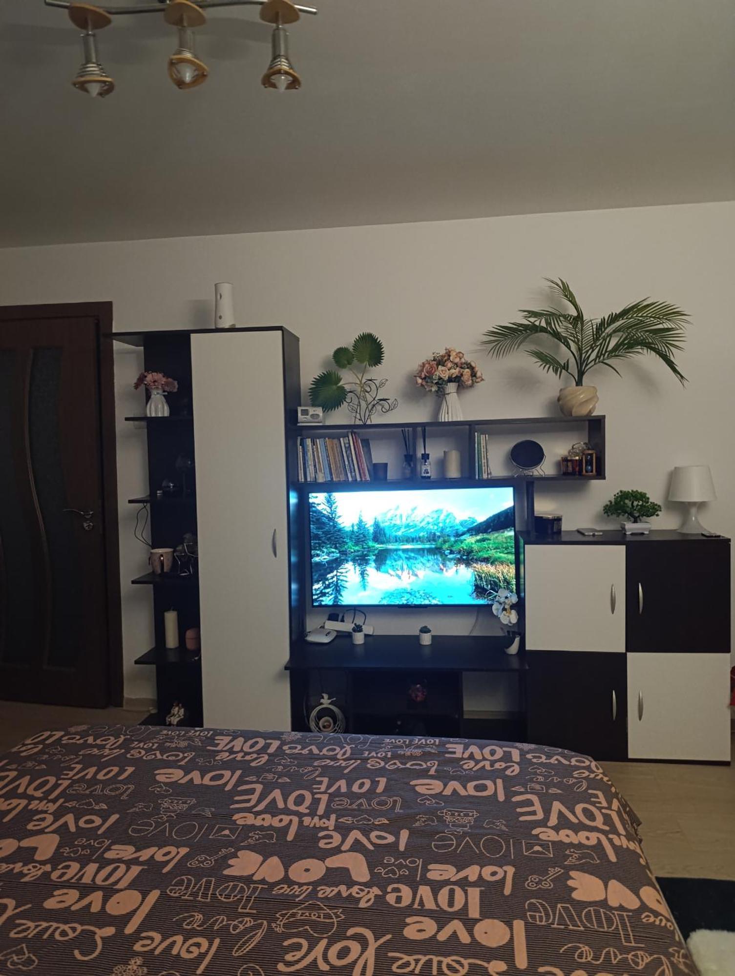 Garsoniera Rebecca Apartment Tirgu Ocna Luaran gambar